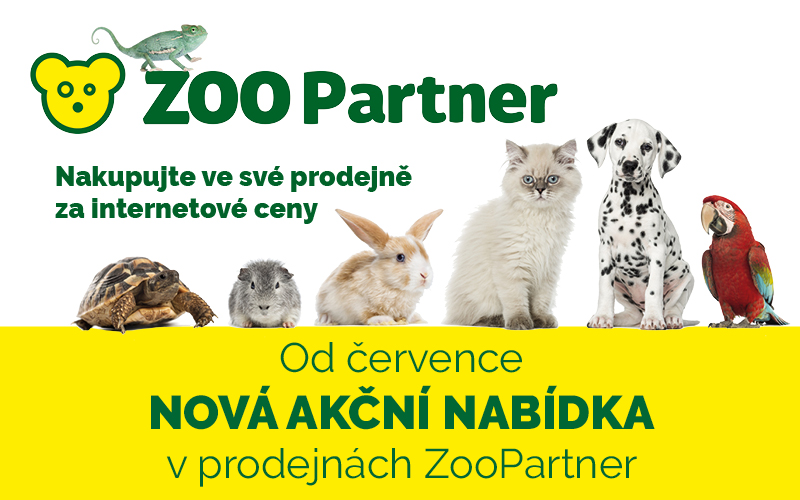 Již od července